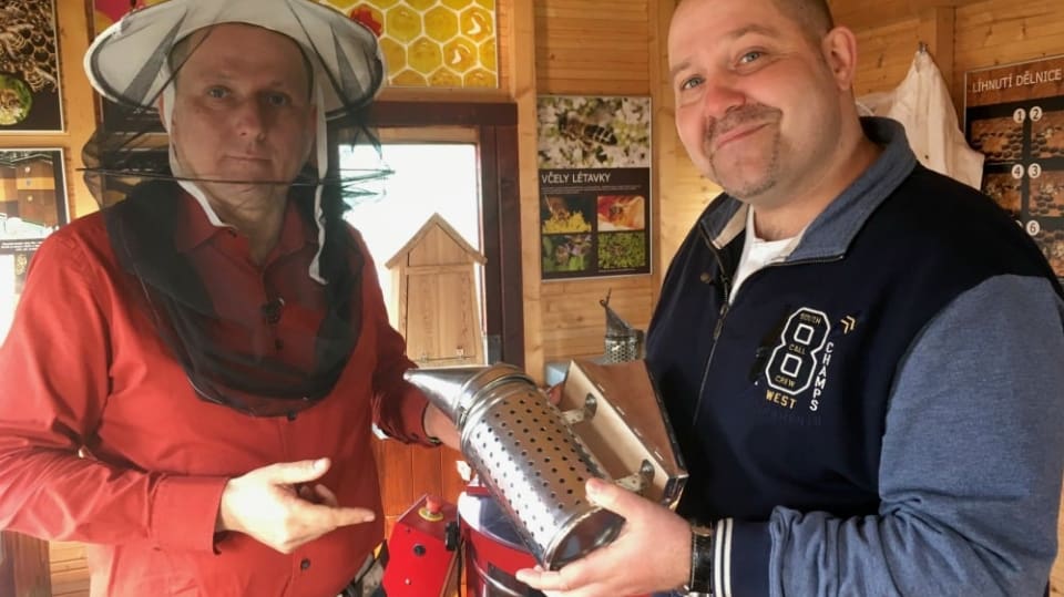 Co potřebujete, abyste se mohli stát včelařem